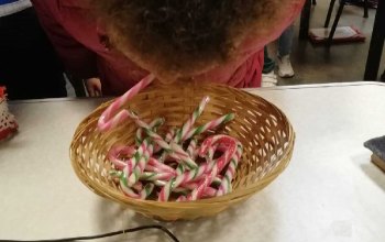 Candy Cane Picking